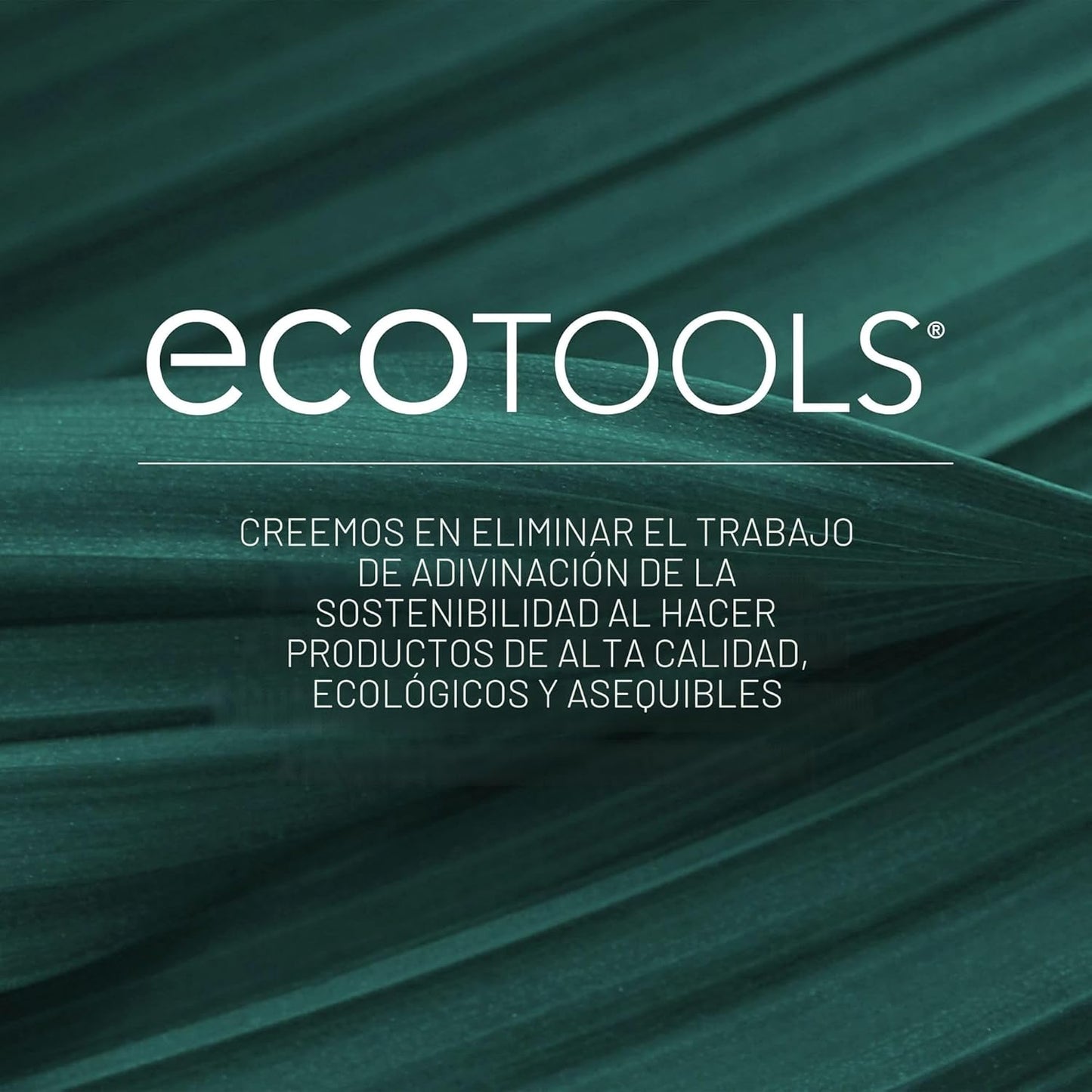 Set De Brochas Para Maquillaje