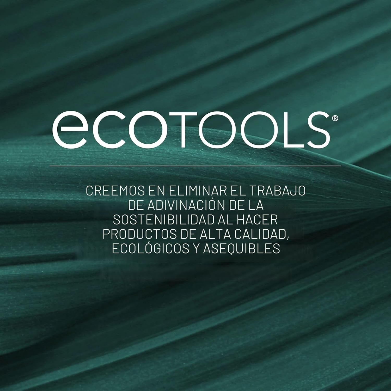 Set De Brochas Para Maquillaje